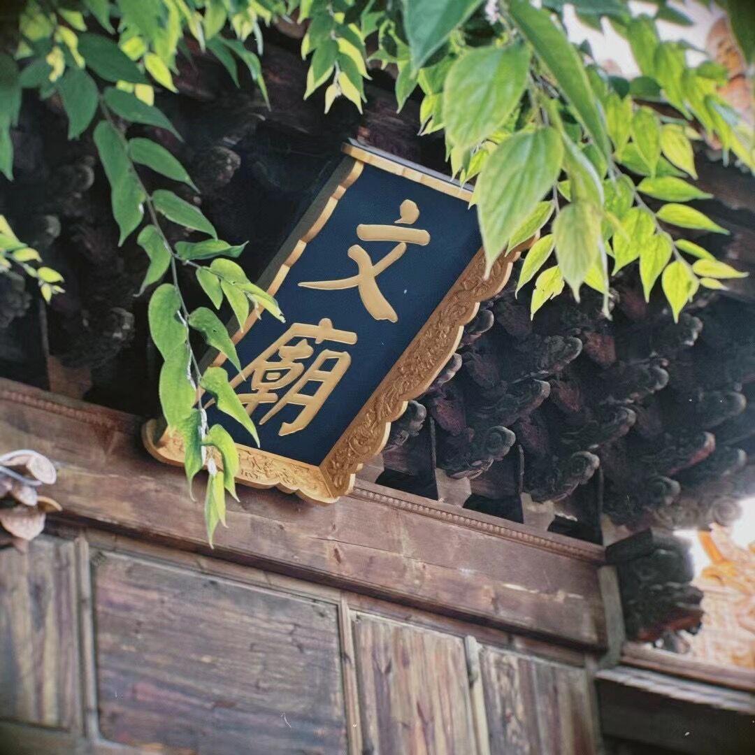 摄影作品